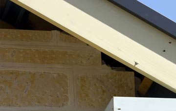 soffit repair Westhouse