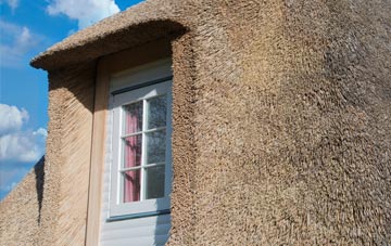 Westhouse thatch roof disadvantages